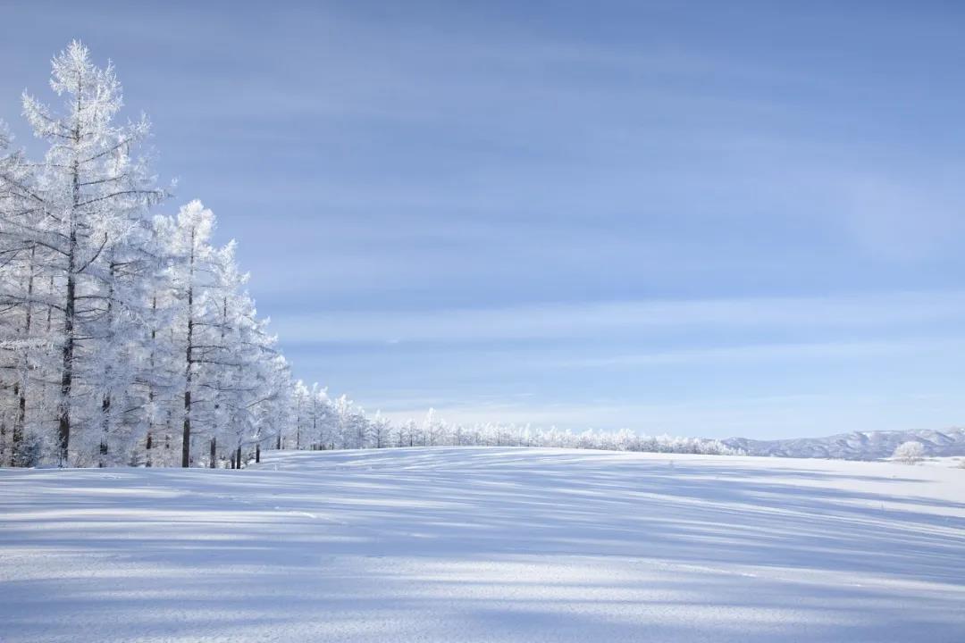 今日大雪！品讀雪中意境！